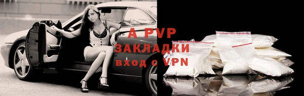 стафф Баксан