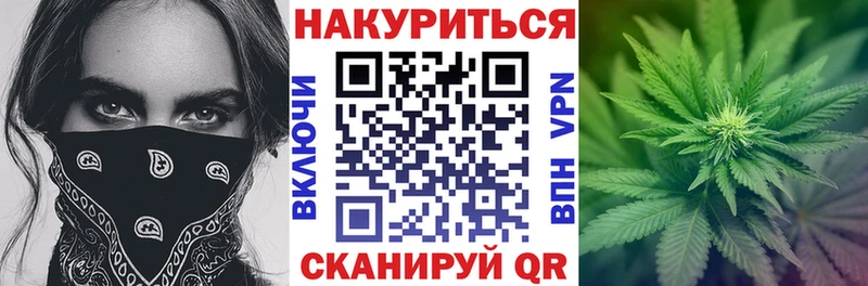 Конопля Amnesia  Кувандык 